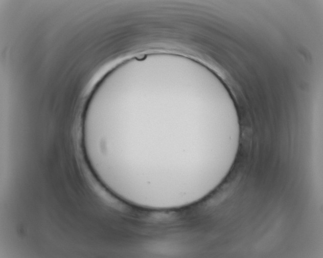 X0000113891523200910221406