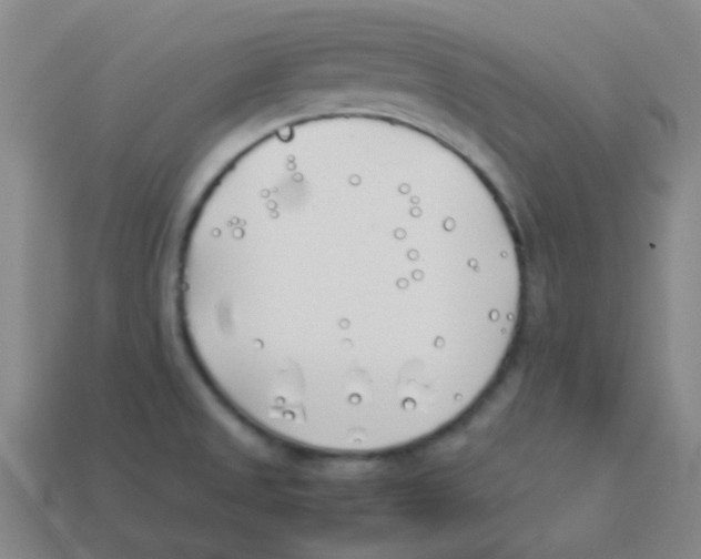 X0000113891525200910221406