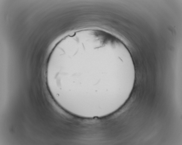 X0000113891526200910221406