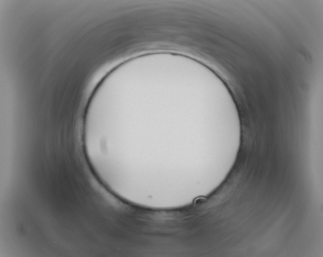 X0000113891527200910221406
