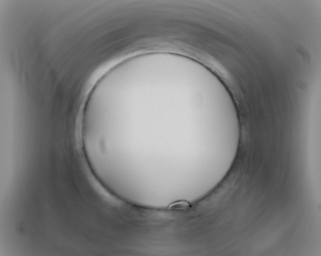 X0000113891528200910221406