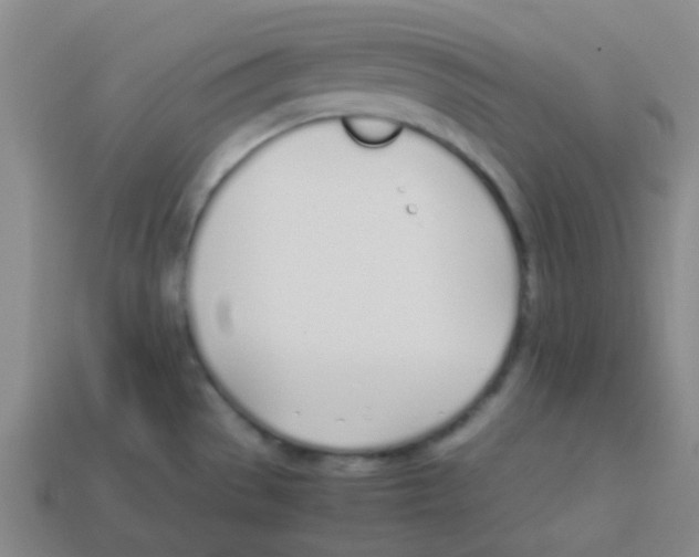 X0000113891529200910221406