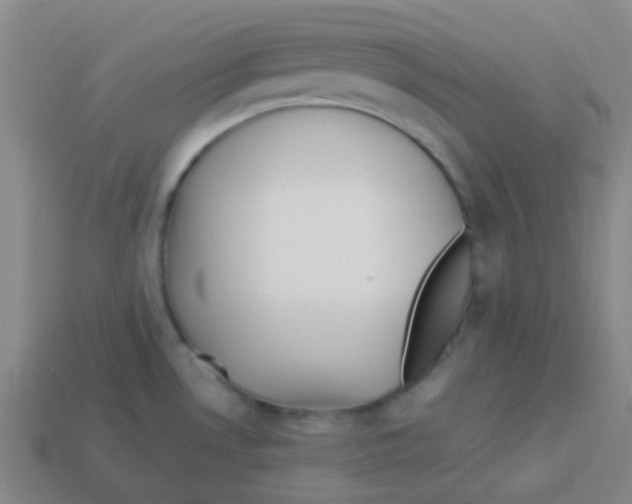 X0000113891530200910221406