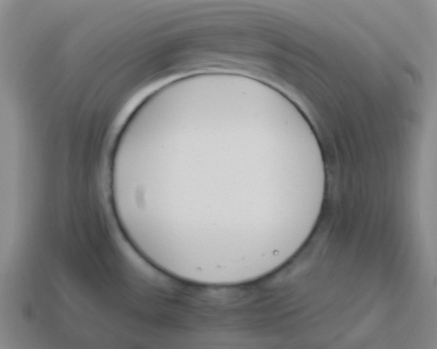 X0000113891531200910221406