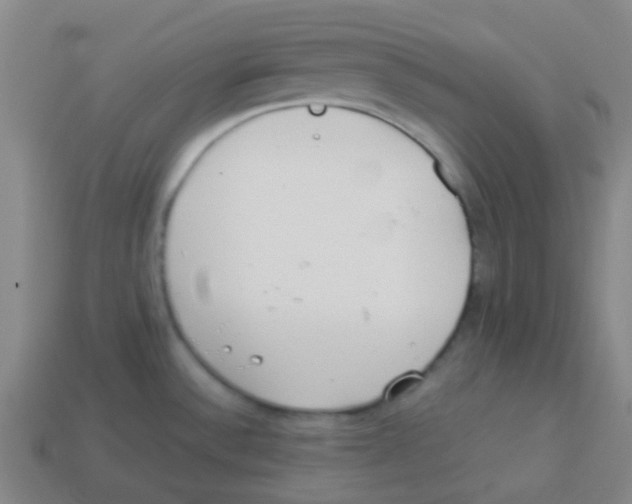 X0000113891532200910221406
