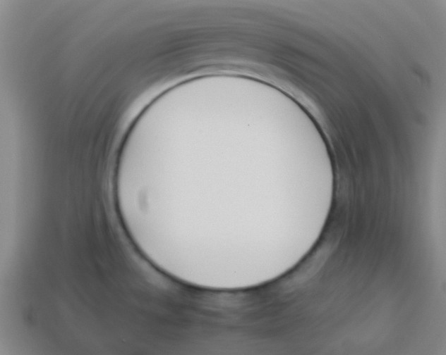 X0000113891533200910221406