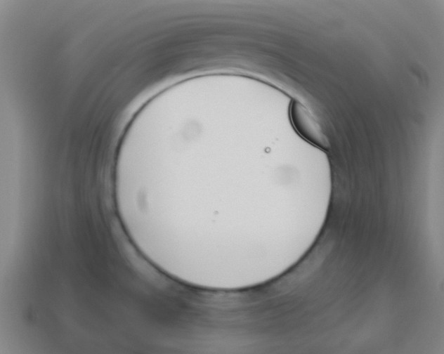 X0000113891534200910221406