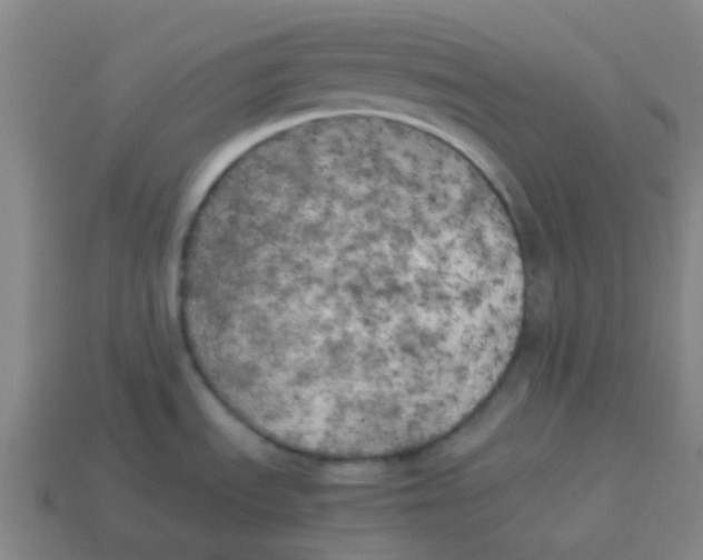 X0000113891535200910221406