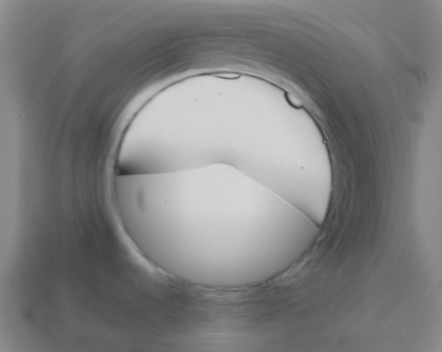 X0000113891536200910221406