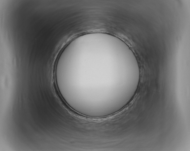 X0000113900002200909241212