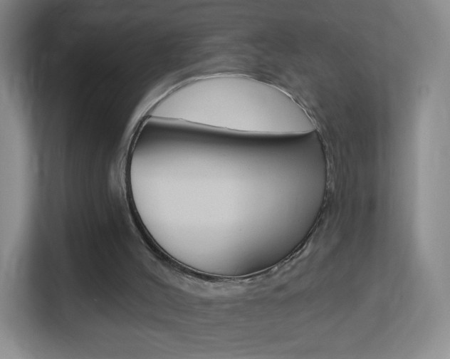 X0000113900004200909241212