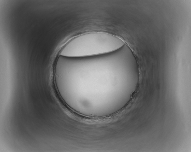 X0000113900005200909241212