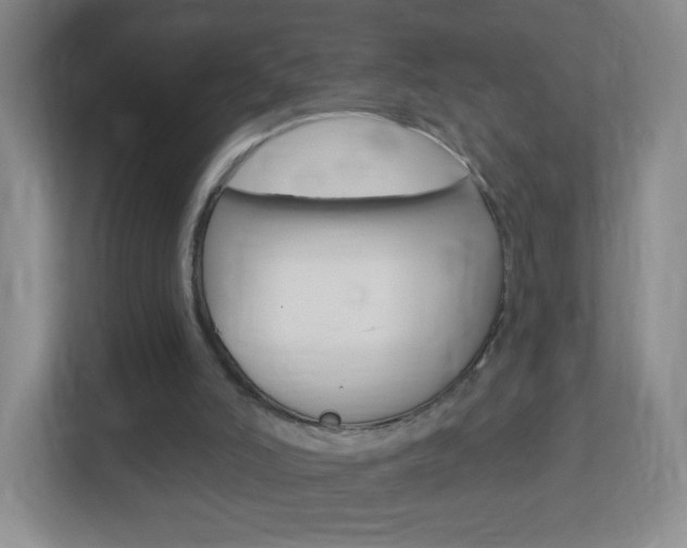 X0000113900006200909241212