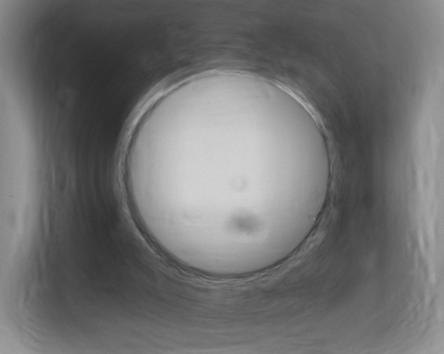 X0000113900007200909241212