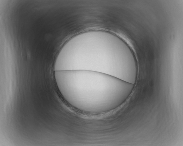 X0000113900009200909241212