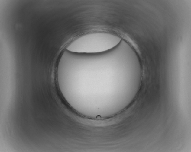 X0000113900010200909241212
