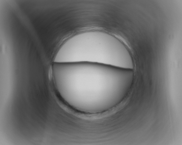 X0000113900013200909241212