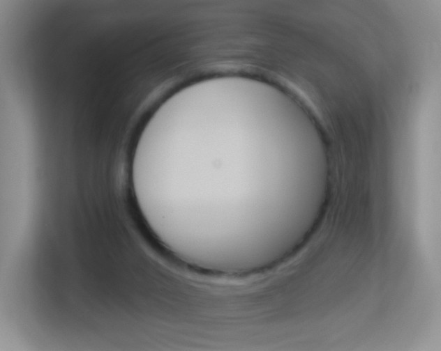 X0000113900016200909241212