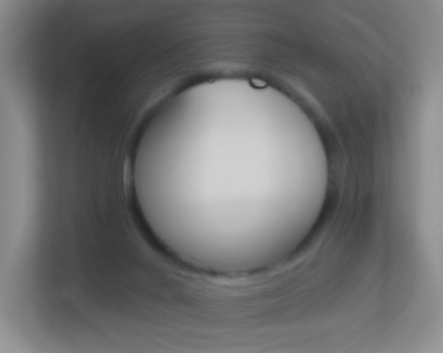 X0000113900024200909241212