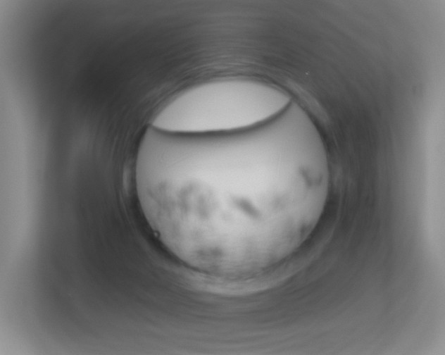 X0000113900026200909241212