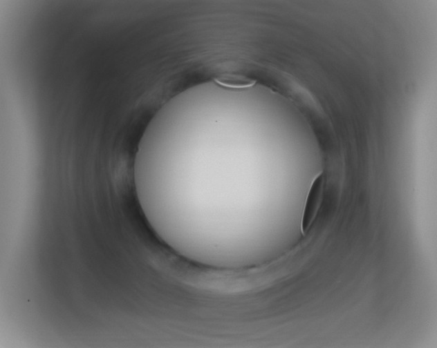 X0000113900029200909241212