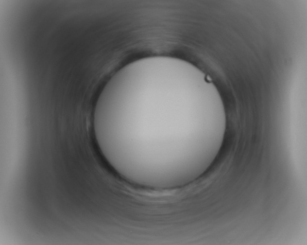 X0000113900032200909241212