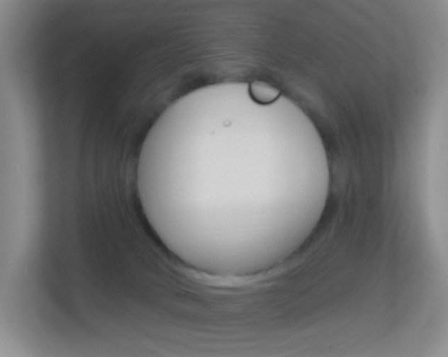 X0000113900034200909241212