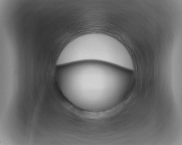 X0000113900037200909241212