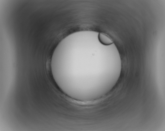 X0000113900038200909241212