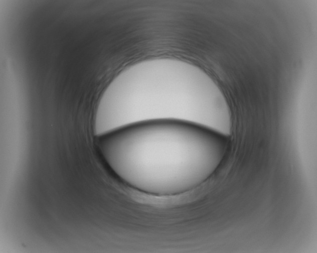 X0000113900039200909241212