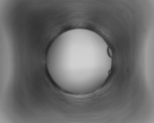 X0000113900040200909241212
