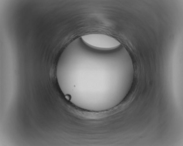 X0000113900044200909241212