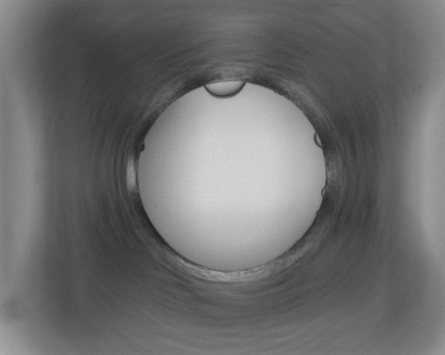 X0000113900046200909241212