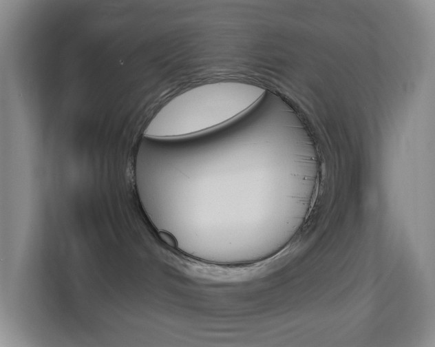 X0000113900048200909241212
