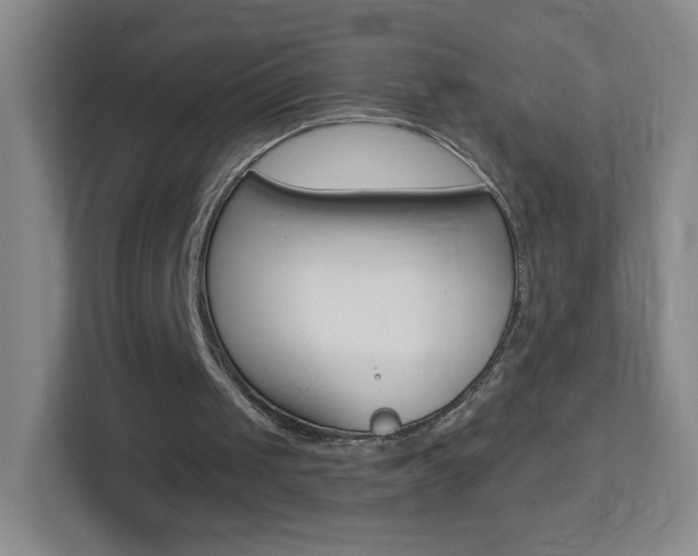 X0000113900049200909241211