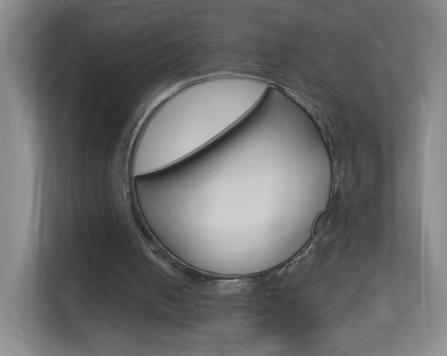 X0000113900050200909241211