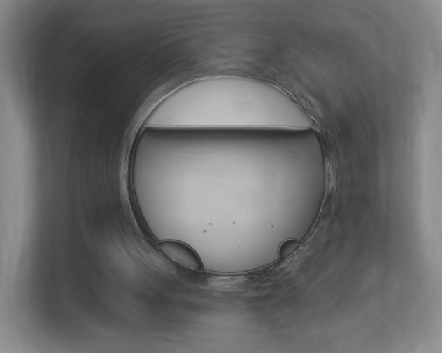 X0000113900051200909241211