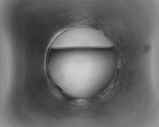 X0000113900052200909241211