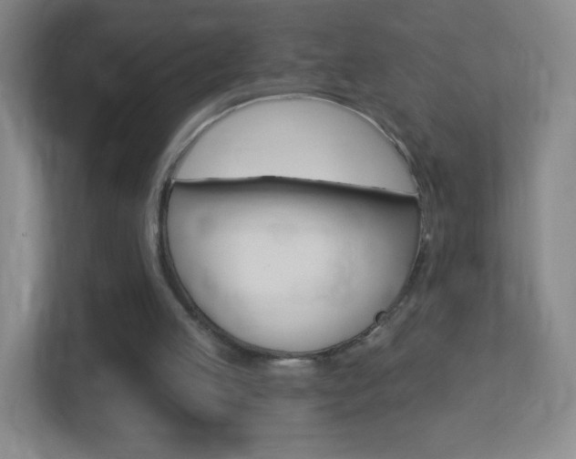 X0000113900053200909241211