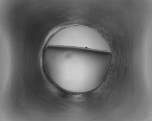 X0000113900054200909241211