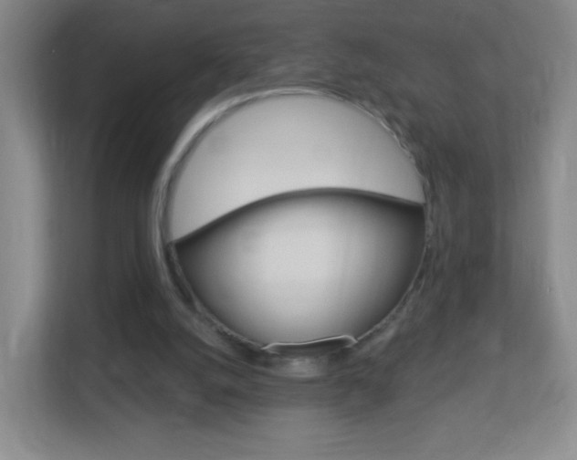 X0000113900056200909241211