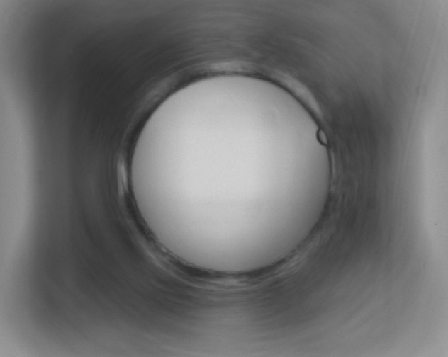 X0000113900061200909241211