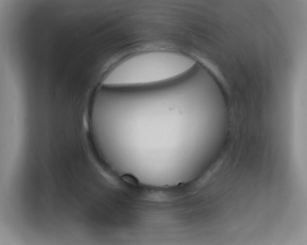 X0000113900062200909241211