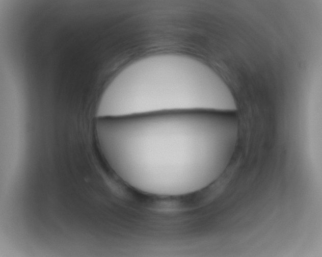 X0000113900066200909241211