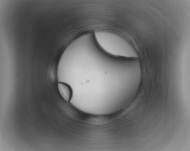 X0000113900069200909241211