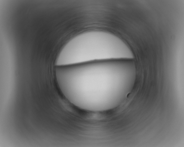 X0000113900074200909241211
