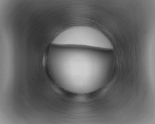 X0000113900076200909241211
