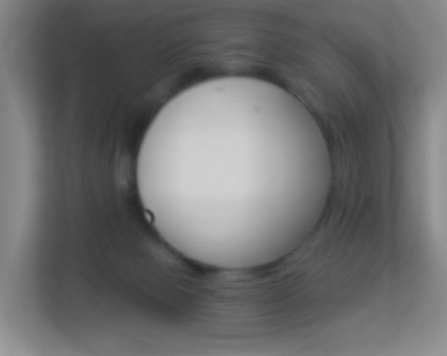 X0000113900077200909241211