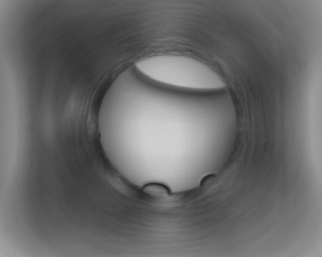 X0000113900081200909241211