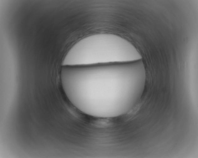 X0000113900086200909241211